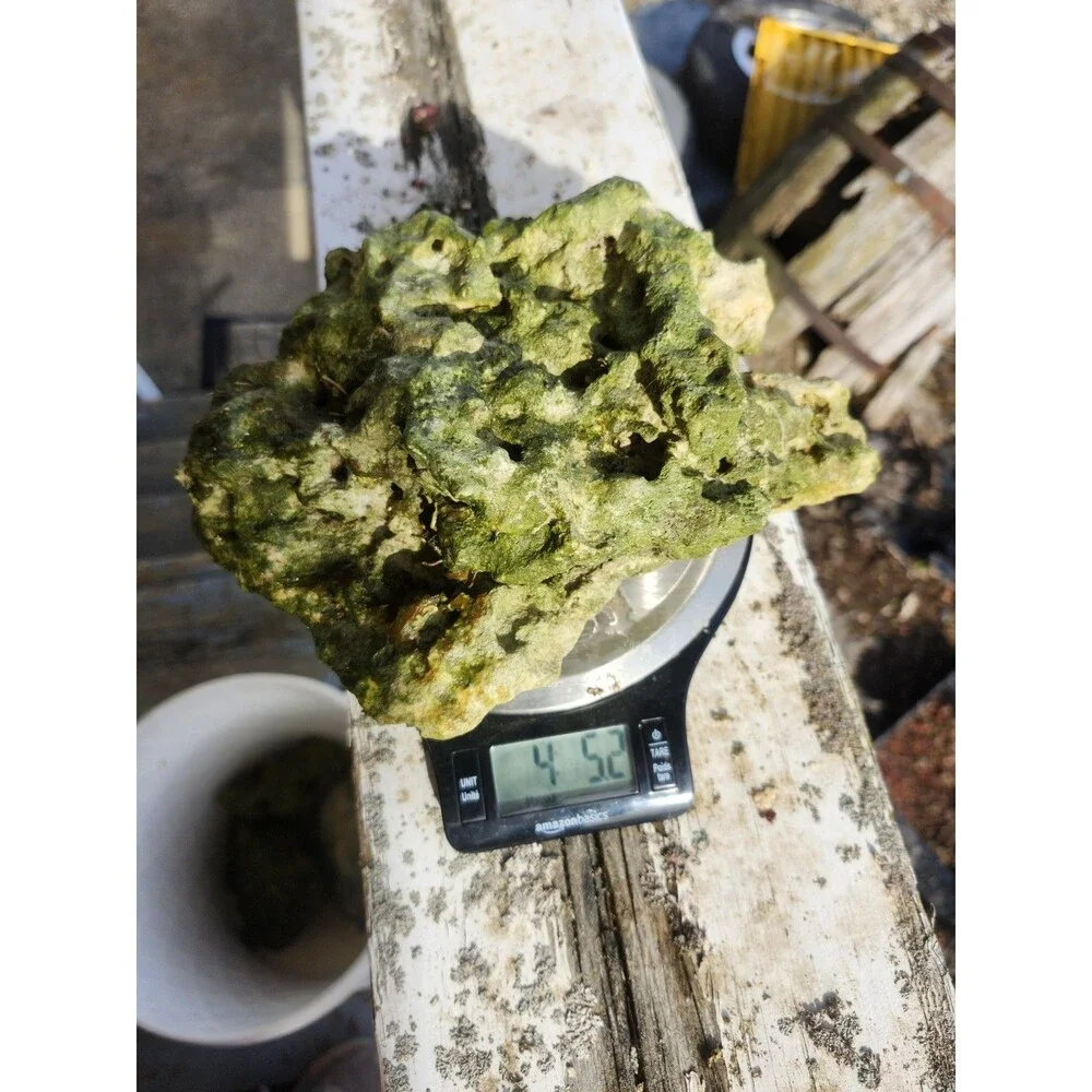 Fiji Dry Base Rock for Saltwater Aquarium Setup Natural Reef Rock Aquascaping